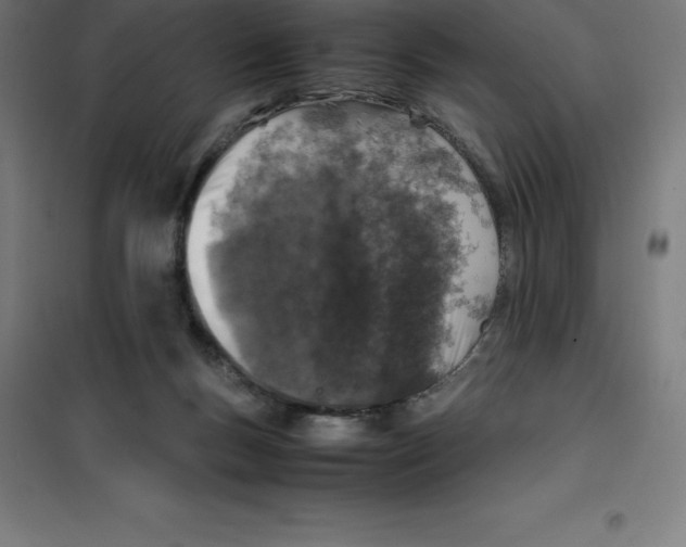 X0000100380167200807031933