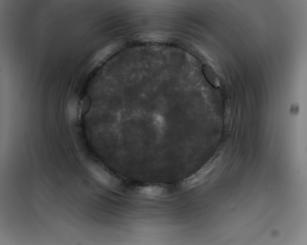 X0000100380168200807031933
