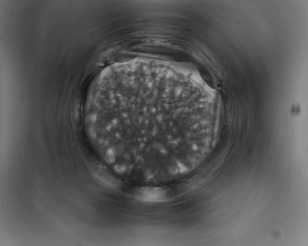 X0000100380169200807031933