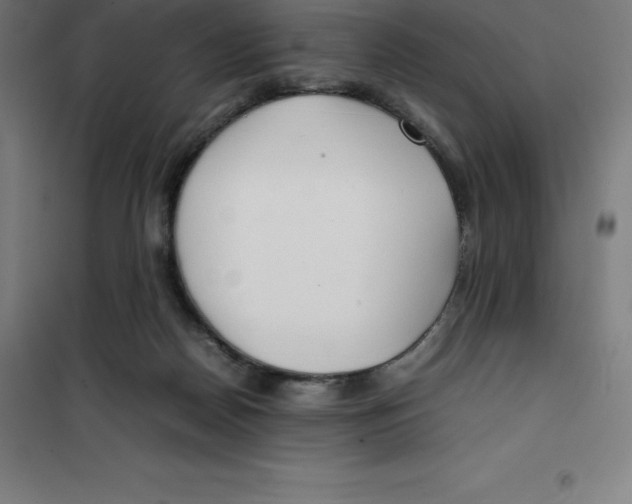 X0000100380170200807031933