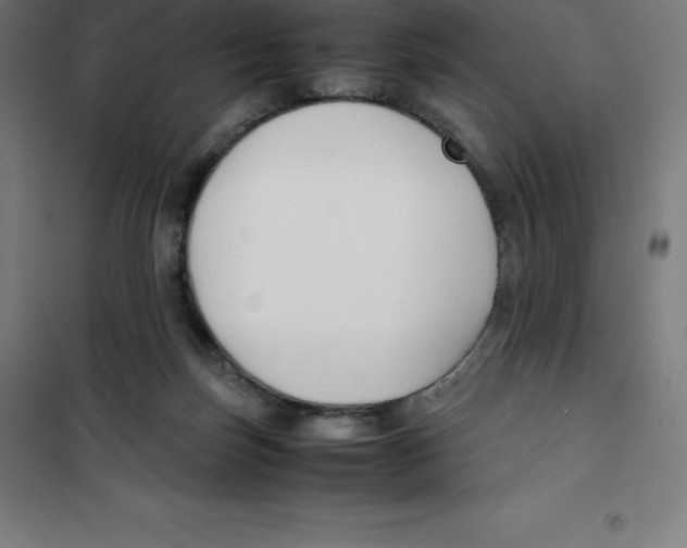 X0000100380171200807031933