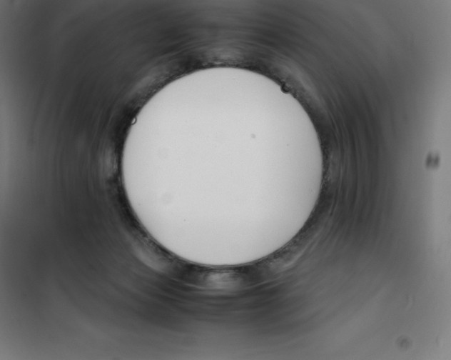 X0000100380173200807031934
