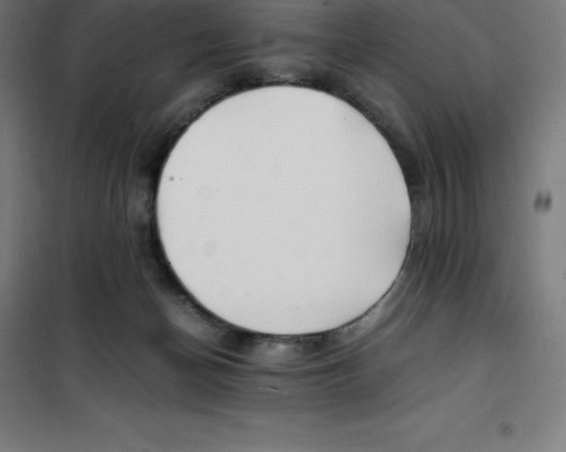 X0000100380174200807031934