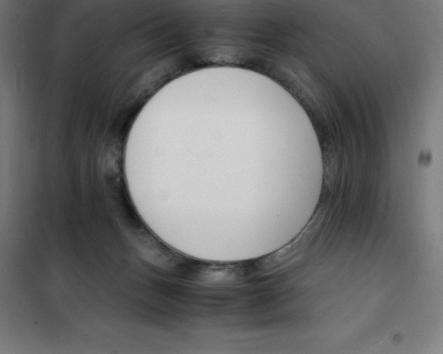 X0000100380175200807031934