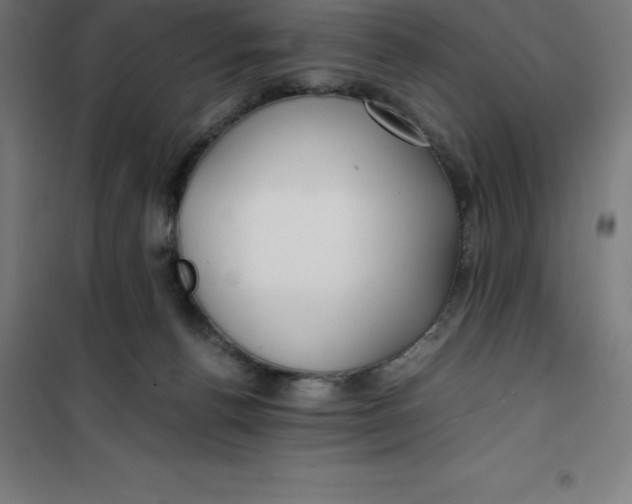 X0000100380176200807031934
