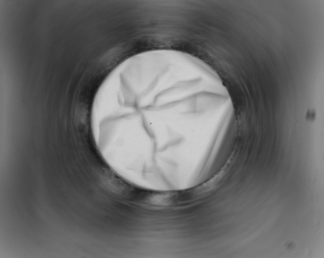 X0000100380178200807031934