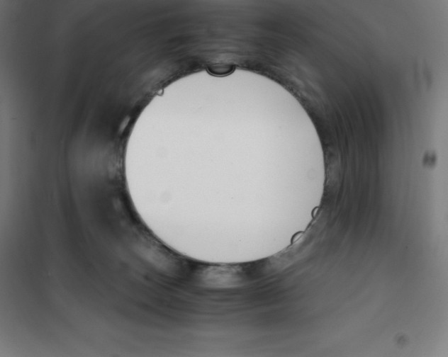 X0000100380179200807031934