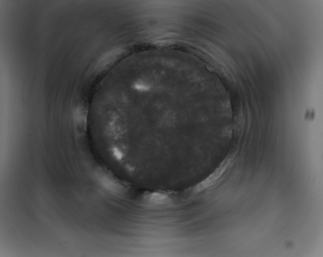 X0000100380180200807031934