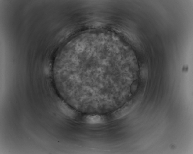 X0000100380181200807031934