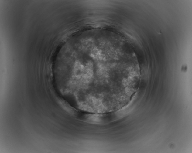 X0000100380182200807031934