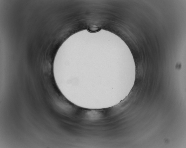 X0000100380183200807031934