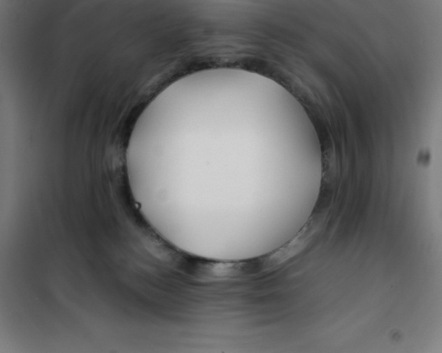 X0000100380184200807031934
