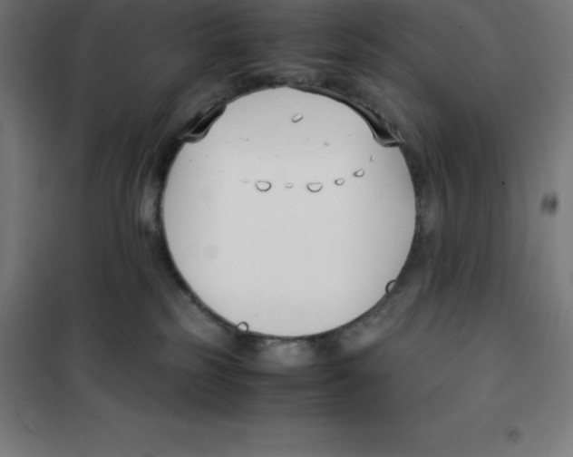 X0000100380185200807031934