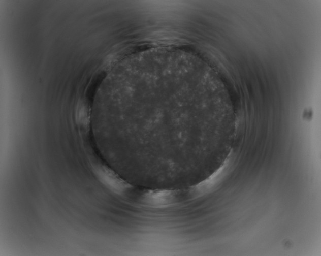 X0000100380186200807031934