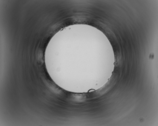 X0000100380187200807031934