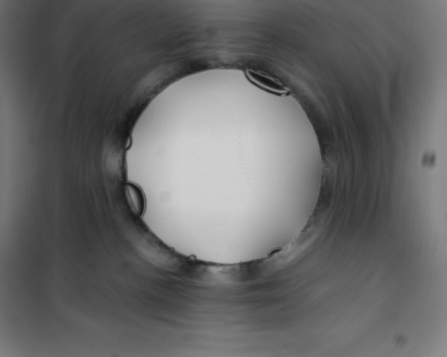 X0000100380188200807031934