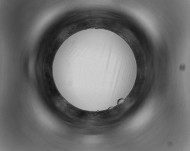 X0000100380189200807031934