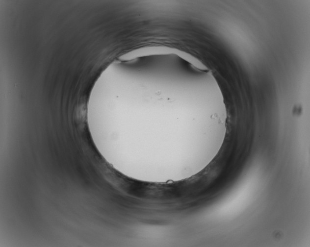 X0000100380190200807031934