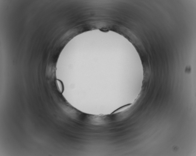 X0000100380191200807031934