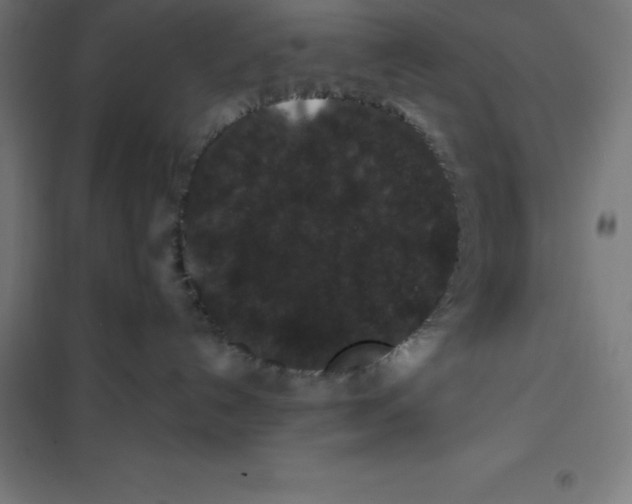 X0000100380192200807031934