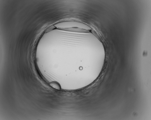 X0000100380193200807031933