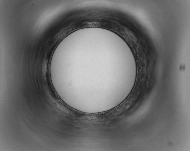 X0000100380194200807031933