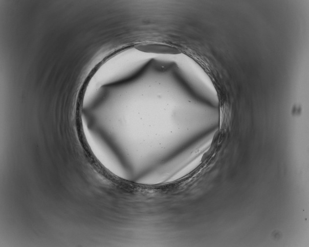 X0000100380195200807031933