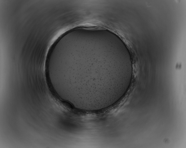X0000100380196200807031933