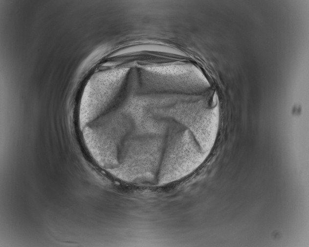 X0000100380197200807031933