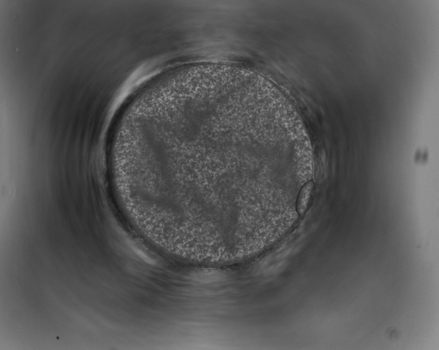 X0000100380198200807031933