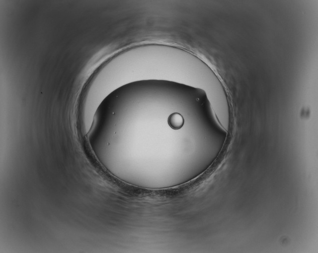 X0000100380199200807031933