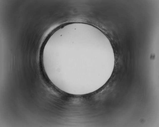 X0000100380200200807031933