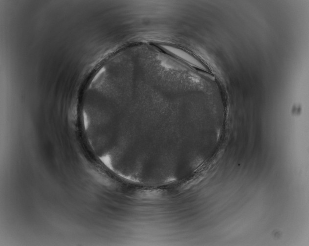 X0000100380202200807031933