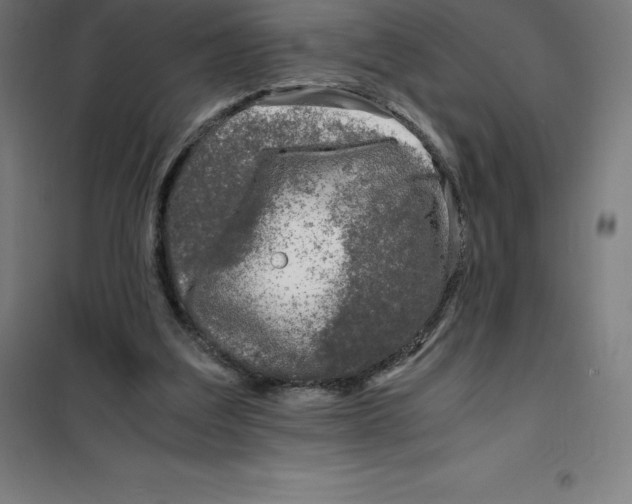 X0000100380203200807031933