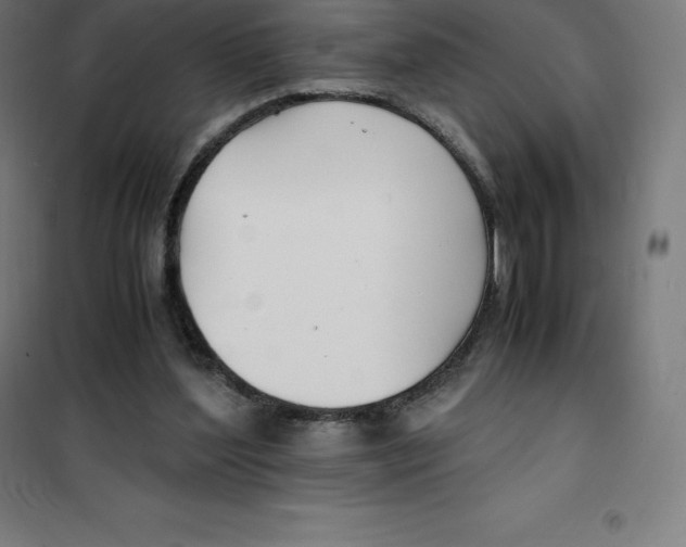 X0000100380204200807031933