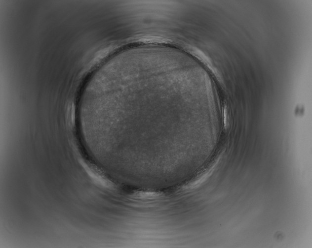 X0000100380205200807031933