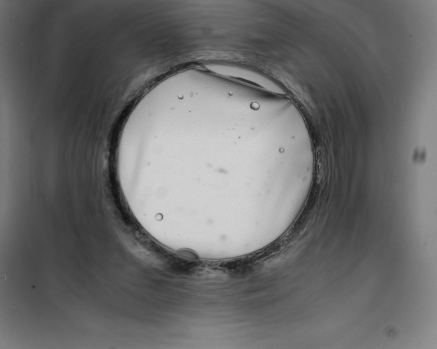 X0000100380207200807031933