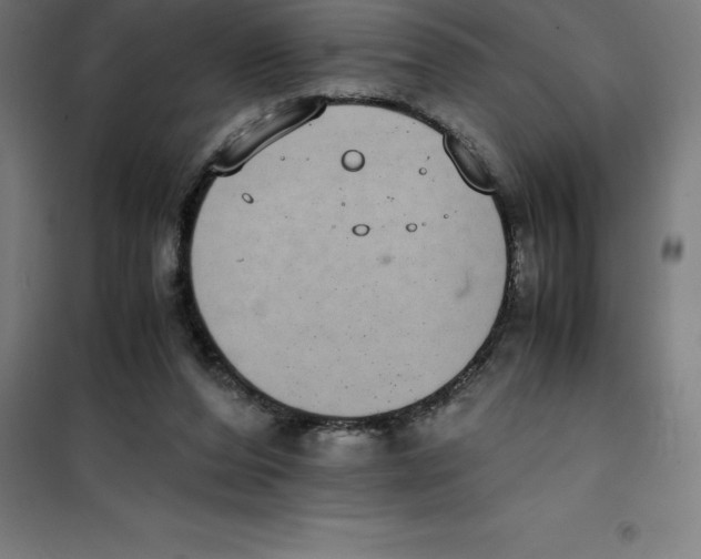 X0000100380208200807031933