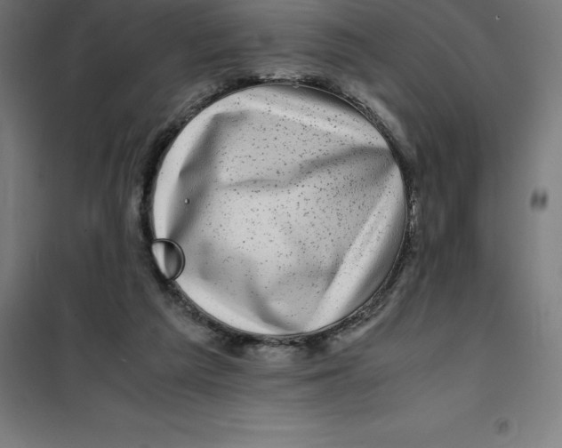 X0000100380209200807031933