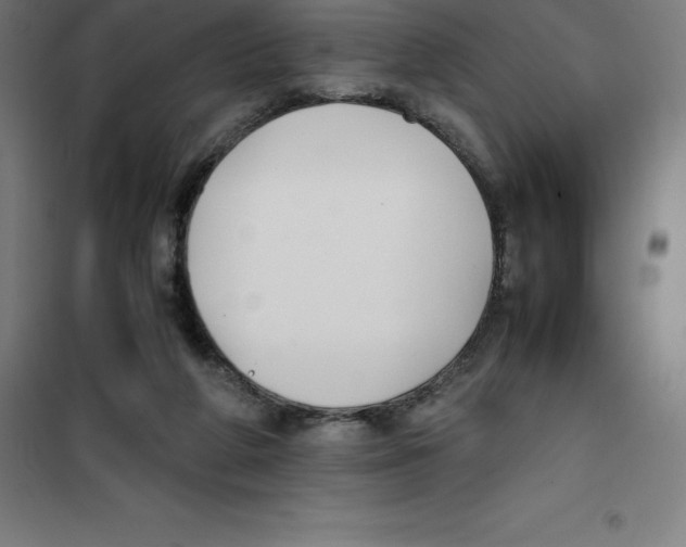 X0000100380210200807031933
