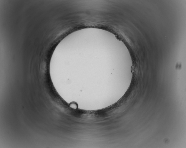 X0000100380211200807031933