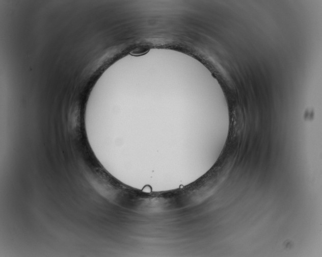 X0000100380212200807031933