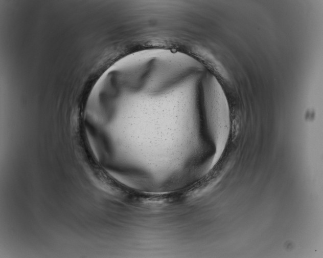 X0000100380213200807031933