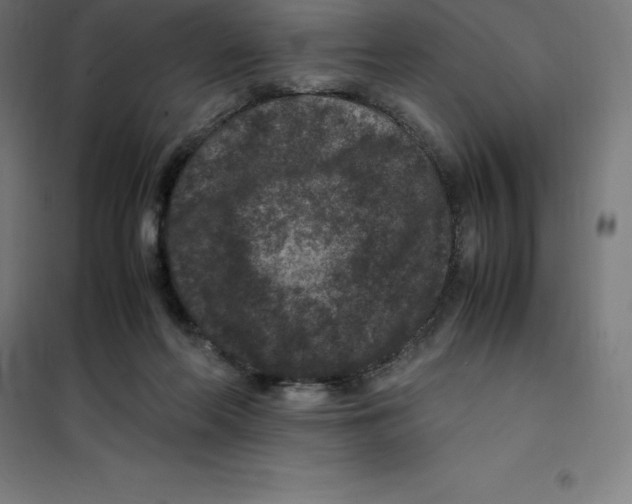 X0000100380214200807031933