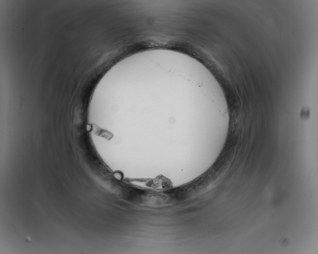X0000100380215200807031933