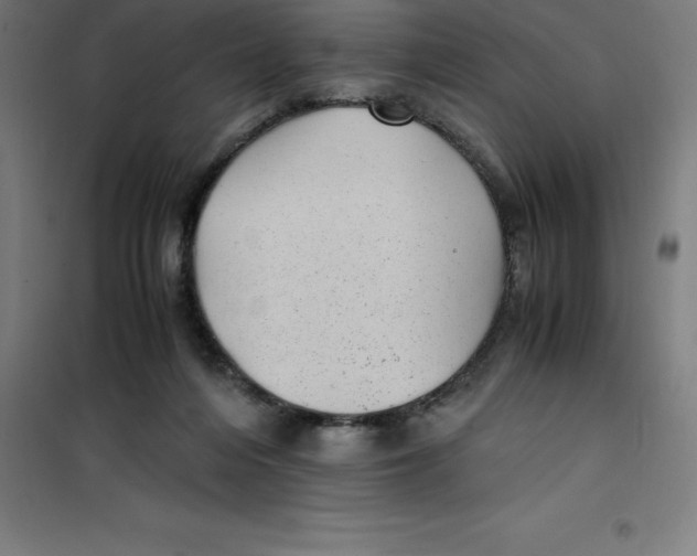 X0000100380216200807031933