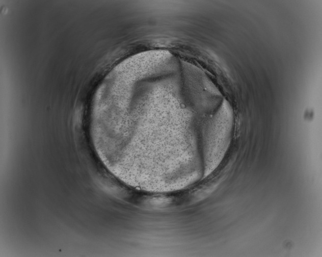 X0000100380217200807031933