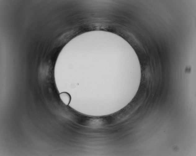 X0000100380218200807031933