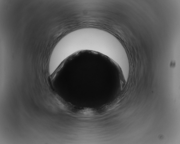 X0000100380219200807031933