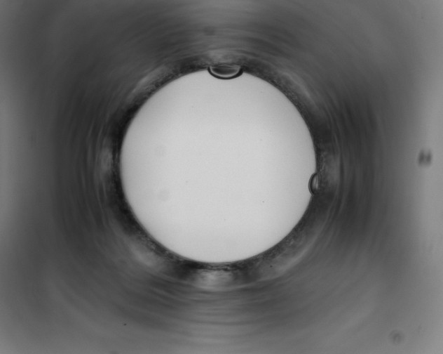 X0000100380220200807031933